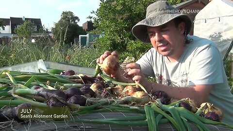 Sean's Allotment Garden 28: Beautiful July Day