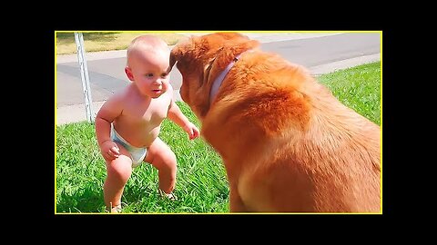 best video of Cute Babies and Pets - Funny Baby and Pet ...funny videos part 7 #funny video #cute