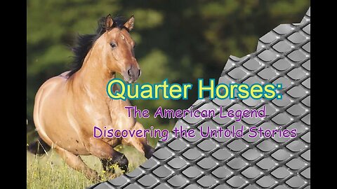 The American Legend Discovering the Untold Stories of Quarter Horses