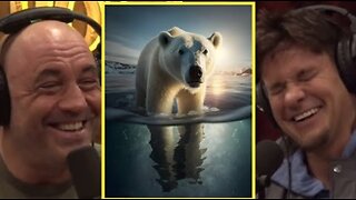 Joerogan And Theovon On Polar Bears....