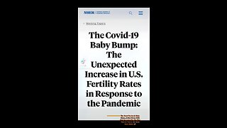 Baby Bump: The Unexpected Increase in U.S. Fertility Rates in Response to the Pandemic