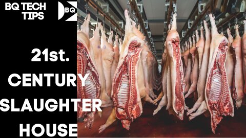 THE MEAT INDUSTRY AND THE PRESENT DAY SLAUGHTER HOUSE