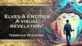 TERENCE MCKENNA, Understand Elves, Entities, and DMT