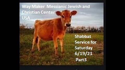 Parashat Chukat- Shabbat Service for 6.19.21 - Part 3