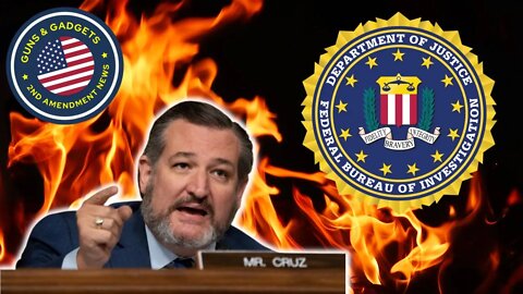 FBI Director Grilled By Ted Cruz Over Leaked Document Targeting Patriots