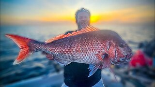 Snapper Fishing Struggles: When the Big One Just Won’t Bite