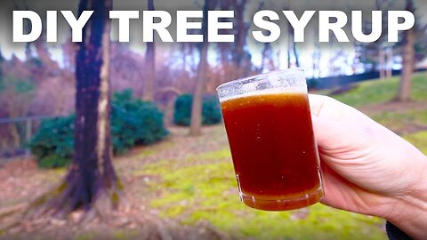 DIY syrup from trees (not just maples)