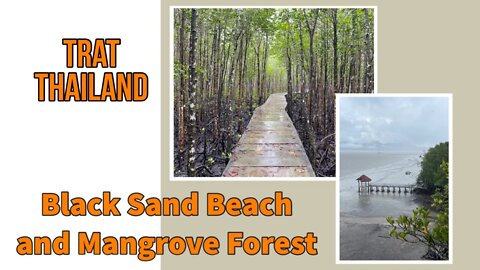 Black Sand Beach and Mangrove Forest - Thailands Only One