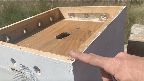 Vented Top Cover Used To Overwinter My Honeybees