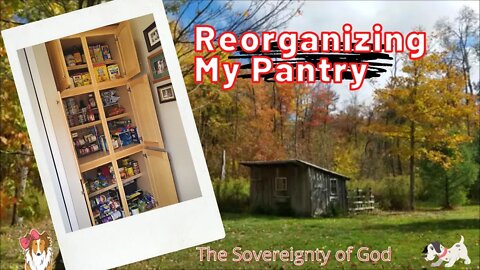 Reorganizing My Pantry ✔️ The Sovereignty of God