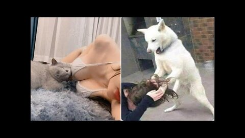 Best Funny Animals Video 2022 - Newest Cats😹 and Dogs🐶 Videos of the Week! #74