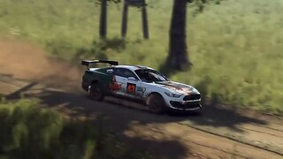 DiRT Rally 2 - Replay - Ford Mustang GT4 at Kopina