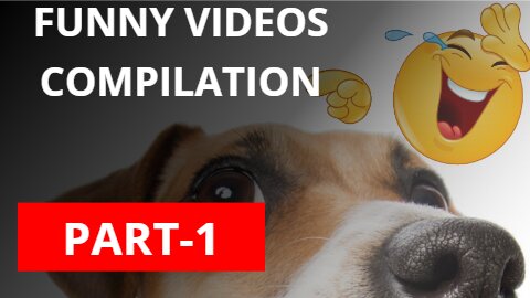 Funny Videos Compilation 2023 New Part 1