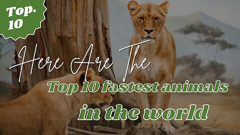 Top 10 Fastest Animals in the World