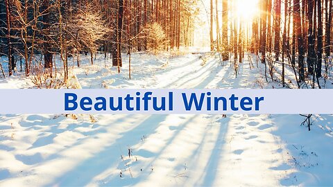 Beautiful Winter Snowfall Stock Footage No Copyright Videos