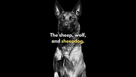 The Sheep, the Wolf, and the Sheepdog