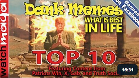 What is Best in Life: TOP 10 MEMES WatchMaga 3.4.24
