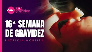 16 SEMANAS DE GRAVIDEZ - Gravidez Semana a Semana