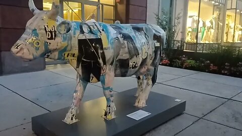 Newbury Street and on the mooooove cow