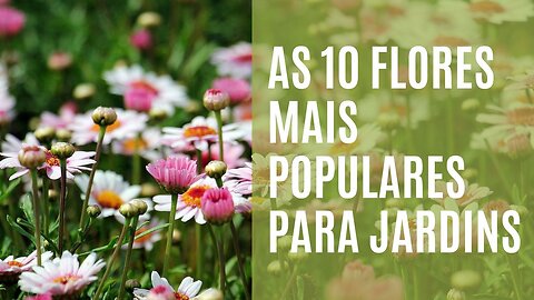 As 10 flores mais populares para jardins