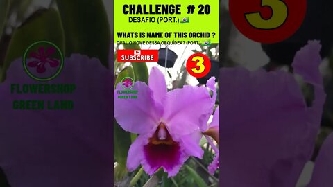 CHALLENGE # 20 |WHATS IS NAME OF THIS ORCHIDS?|YOU WANT TO LEARN? |# SHORT