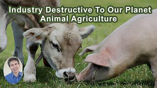 There Simply Is No Other Industry As Destructive To Our Planet As Animal Agriculture