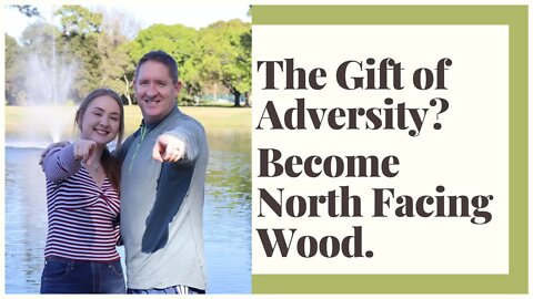The Gift of Adversity? Become North Facing Wood. (SERIES PART 4 OF 6)