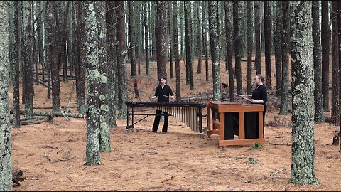 Romanian Folk Dances by Béla Bartók