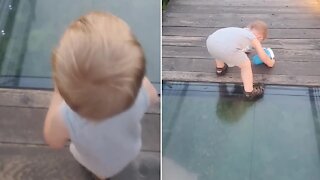 Toddler's priceless attempt to cross onto glass bridge