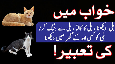 Khwab Mein Billi Dekhna | Cat Dream Meaning | Khwab Mein Billi Dekhne Ki Tabeer