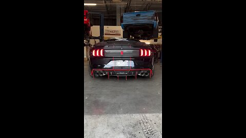 Mustang exhaust roars 🔥