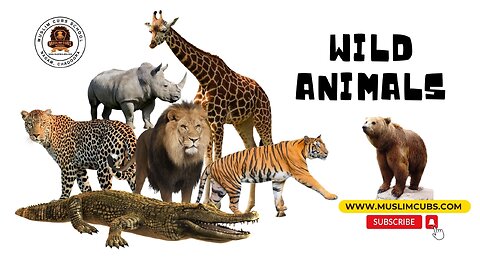 Learn Wild Animals, Names and Pronunciation 🦁 🦒🦛
