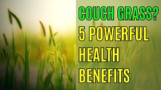 The Incredible Health Benefits of Couch Grass