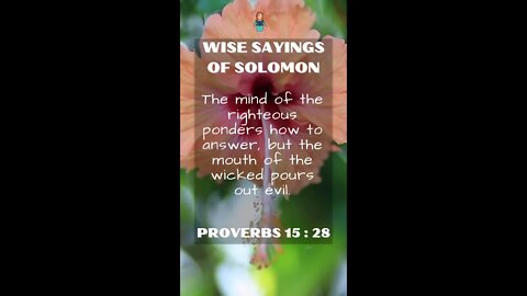 Proverbs 15:28 | NRSV Bible | Wise Sayings of Solomon