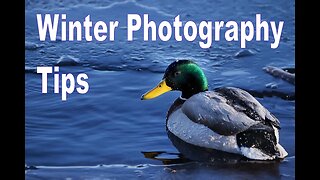 Nature Photography - Tips for Cold Climate Shooting