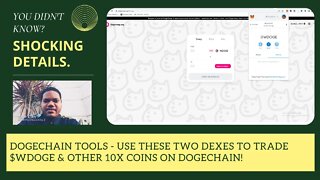 Dogechain Tools - Use These Two Dexes To Trade $WDOGE & Other 10x Coins On Dogechain!