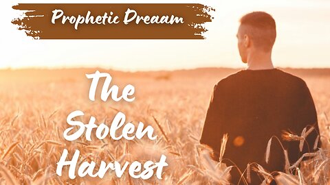 Prophetic Dream - The Stolen Harvest