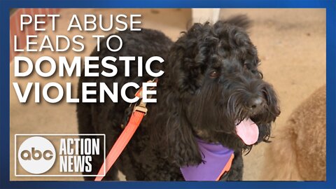 Experts say pets are also often victims of domestic abuse