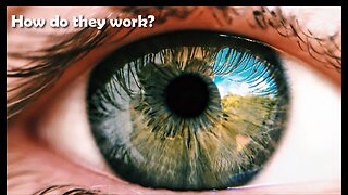 How does the human eye work?