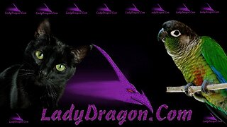 LIVE LADYDRAGON - THE AIR IS BEING POISONED BUT NOT BY WILDFIRE + TWITTER DOWN AND MORE