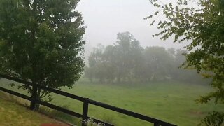 A fair dinkum downpour! yay- the best rainfall in I don't know how long.