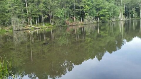 My Small Lake in Kentucky