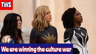 The Marvels Box Office Flop Proves We Are Winning The Culture War