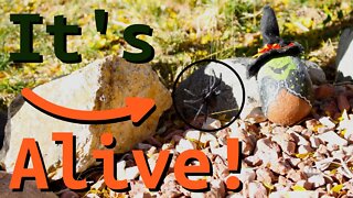 Motorized Spider - DIY Halloween Decoration