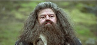 Robbie Coltrane, actor who played the Hagrid in the Harry Potter has died at 72