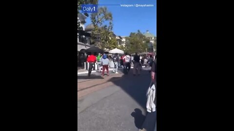 LA Mall Brawl