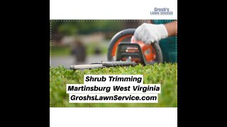 Shrub Trimming Martinsburg West Virginia Landscaper The Best