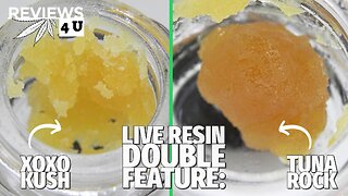 XOXO KUSH & TUNA ROCK LIVE RESIN REVIEWS | THC REVIEWS 4 U