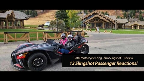 Compilation of 13 Slingshot Passenger Reactions