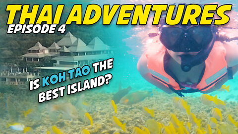 Is Koh Tao the best island in Thailand?